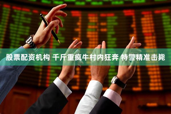 股票配资机构 千斤重疯牛村内狂奔 特警精准击毙